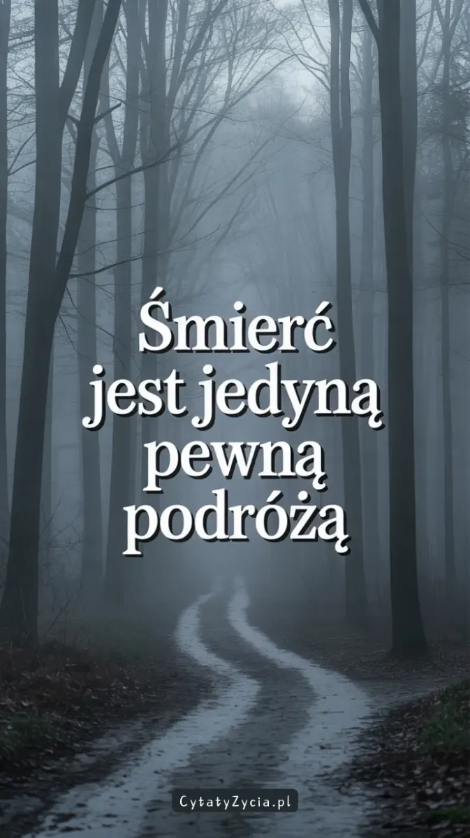 „Podróż poza życie trwa nadal”